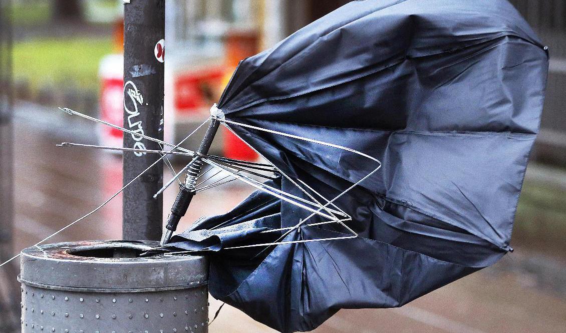 Veckan inleds med blåsigt väder. Arkivbild. Foto: Michael Probst/AP/TT