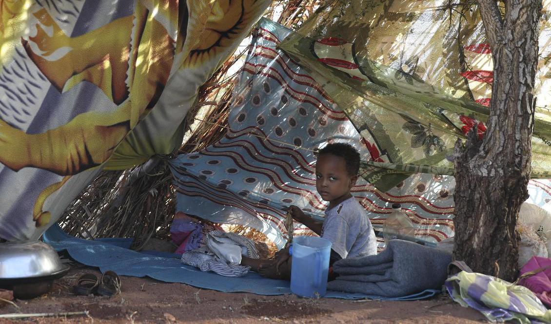 Etiopiska flyktingar, som korsat gränsen på flykt undan striderna, i ett improviserat tältläger i östra Sudan. Arkivbild. Foto: Marwan Ali/AP/TT
