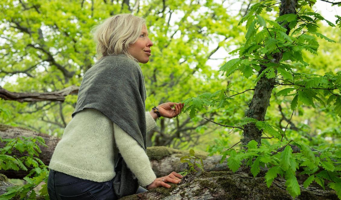 


Jag får ofta frågan om hur man kan "få in" naturen i ett fullskpäckat schema, så här kommer lite tips för att ta sig ut i det gröna. Foto: Mattew Wilkins 

                                                                                                                                    