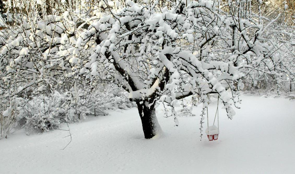 SMHI klass 1-varnar för snöfall i Upplands län och Roslagskusten i Stockholms län. Arkivbild. Foto: Jack Mikrut/TT
