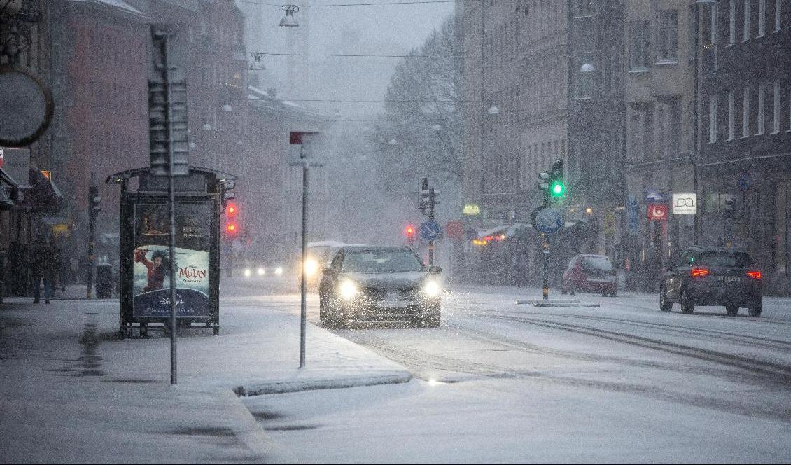 Snöbyar drog in över Stockholm på juldagen. Foto: Christine Olsson/TT