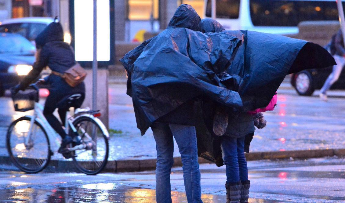 Det blir regnigt på många håll i landet den kommande veckan. Arkivbild. Foto: Johan NIlsson / TT