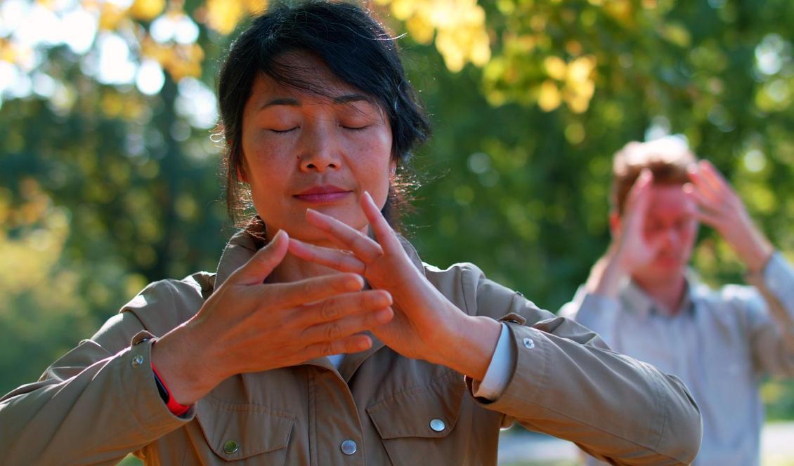 
May Zhou, ingenjör på Ericsson i Kista, övar Falungong på Djurgården i Stockholm. Hon vågar inte besöka sina föräldrar i Kina av rädsla för att bli fängslad. Foto: Tobias Elvhage/Epoch Times                                            