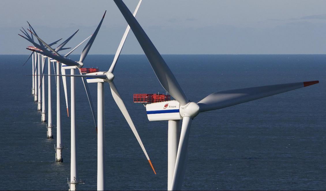 
Vindturbiner i Danmark. Foto: Jorgen True/AFP via Getty Images                                            