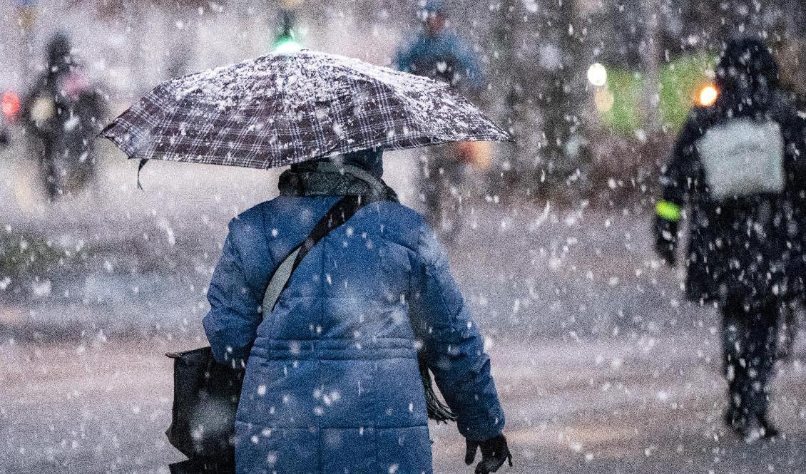Det ymniga snöfallet i Götaland drar sig mot östra delarna av landet. Arkivbild. Foto: Johan Nilsson/TT
