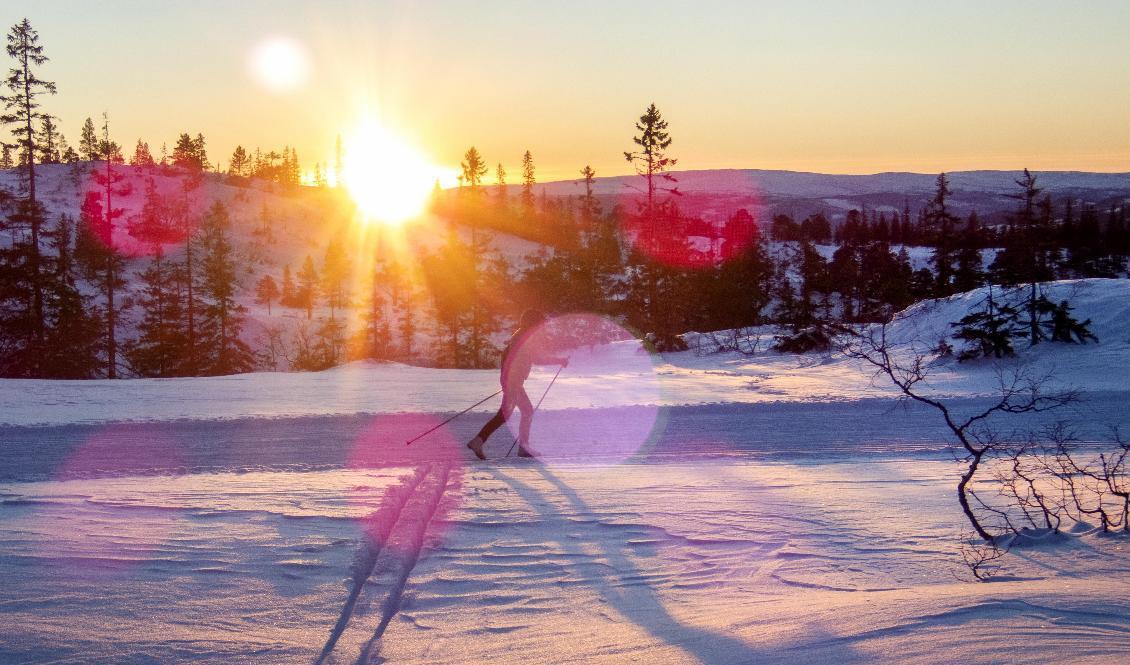 Nu blir det ljusare i allt snabbare takt, mest ökar dagarnas längd i Norrland. Arkivbild. Foto: Gorm Kallestad
