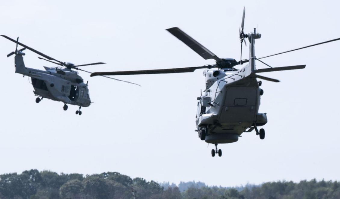 Helikoptrar stressade minkar på en farm så att cirka 4 500 ungar bets ihjäl. Nu får farmen 770 000 kronor i ersättning från Försvarsmakten. Arkivbild. Foto: Johan Nilsson/TT
