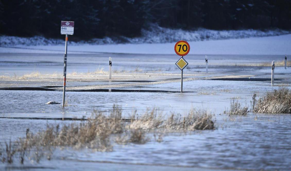 Riklig nederbörd har gjort att grundvattennivåerna återhämtat sig. Arkivbild. Foto: Pontus Lundahl/TT