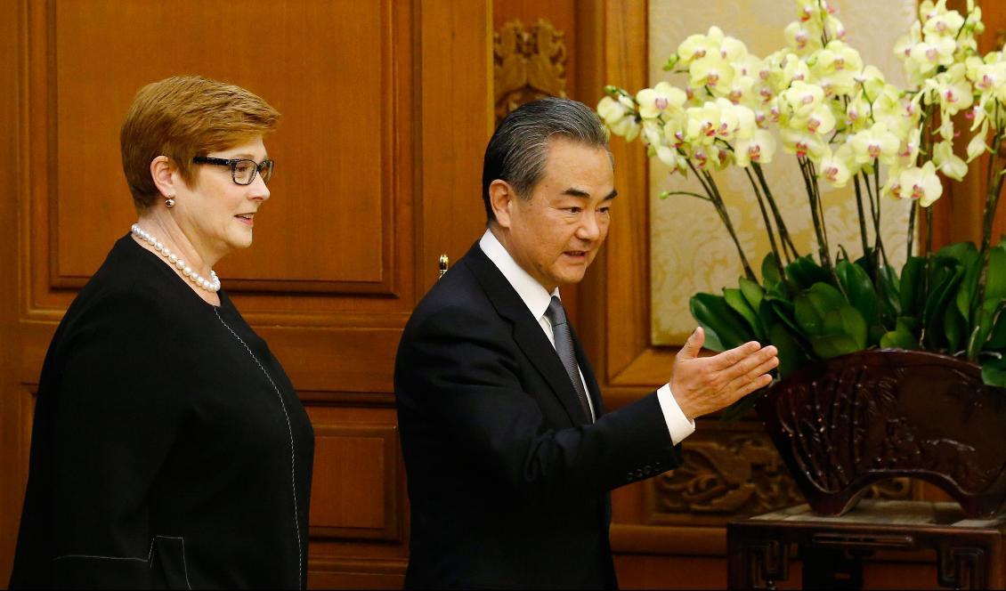 Australiens utrikesminister Marise Payne och Kinas utrikesminister Wang Yi vid en presskonferens i Peking den 8 november 2018. Foto: Thomas Peter/AFP via Getty Images
