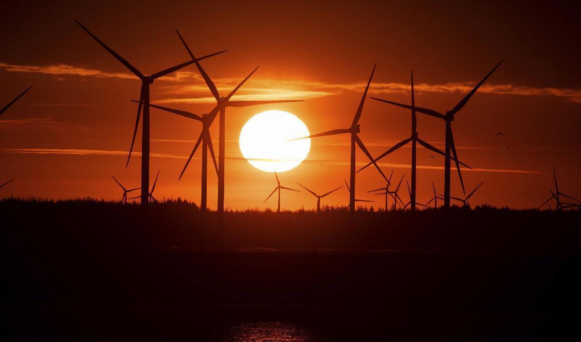 Natt till måndag finns det pengar att spara för den som planerar sin elförbrukning smart. Mellan klockan 01.00 och 06.00 kommer elpriset att vara negativt. Arkivbild. Foto: Christian Charisius/AP