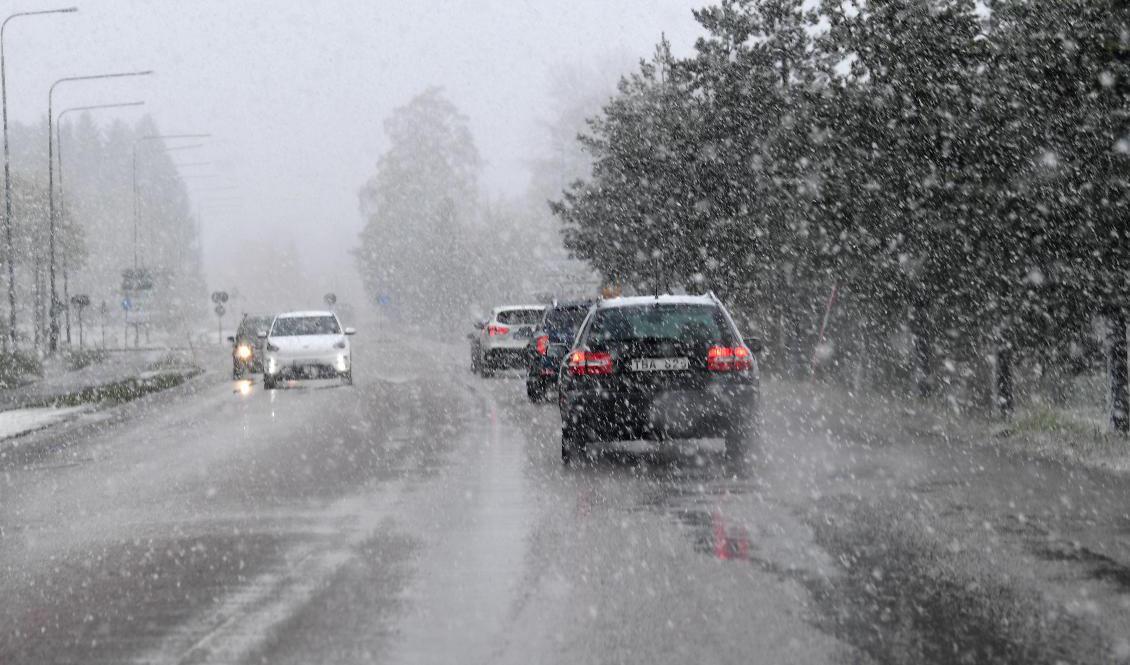 Besvärligt väder väntas när ett snöfall drar in över landet. Arkivbild. Foto: Fredrik Sandberg/TT