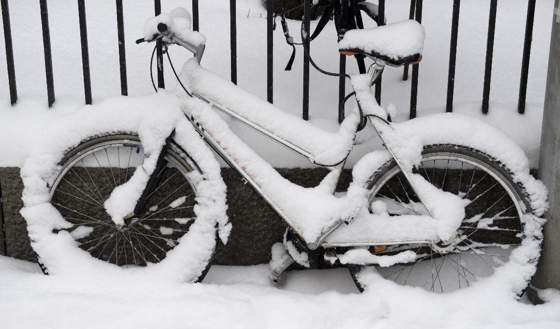 Den som hoppats på en vårtur på cykeln kanske får tänka om. Arkivbild. Foto: Jessica Gow/TT