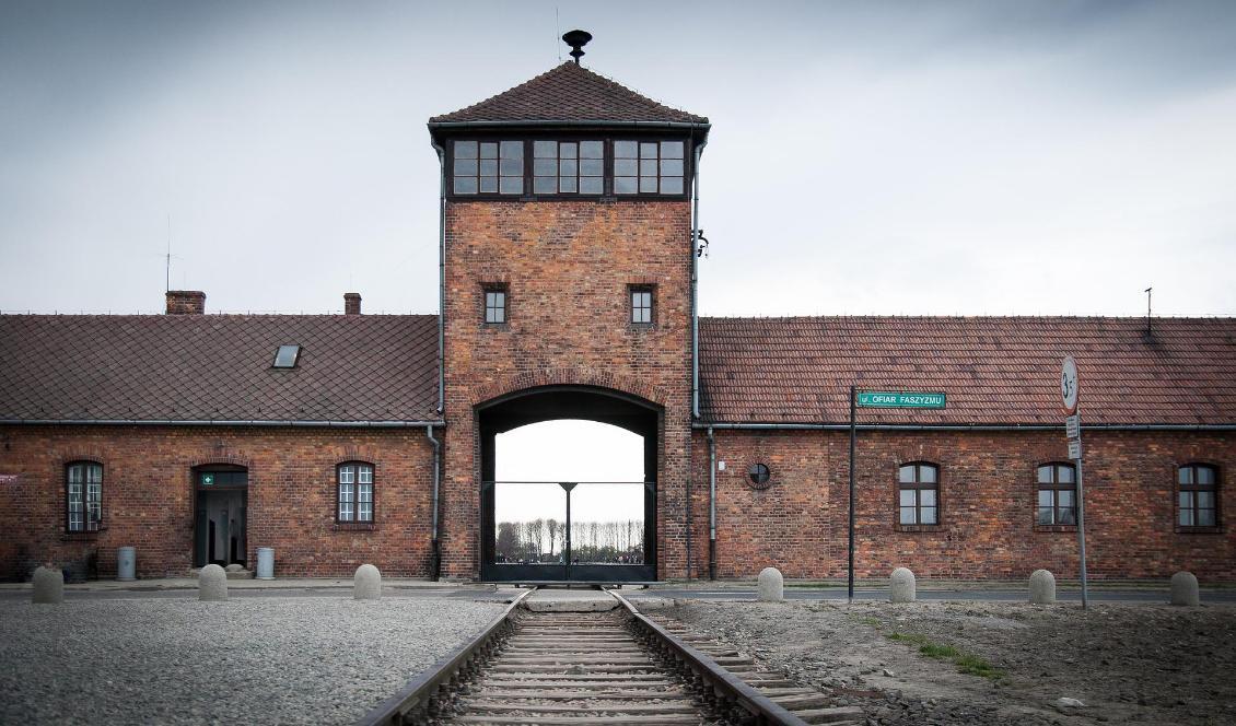 Historierevisionism bör göras olagligt enligt regeringen. Foto: Carl S