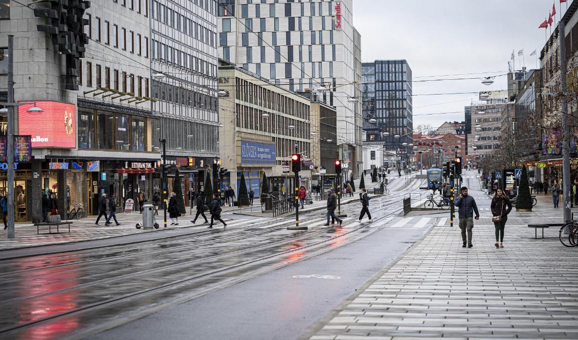 Ett hållbart samhälle är ett begrepp som dyker upp i allt fler sammanhang och något vi eftersträvar. Men hur definierar vi hållbarhet på bästa sätt? Foto: Sofia Drevemo