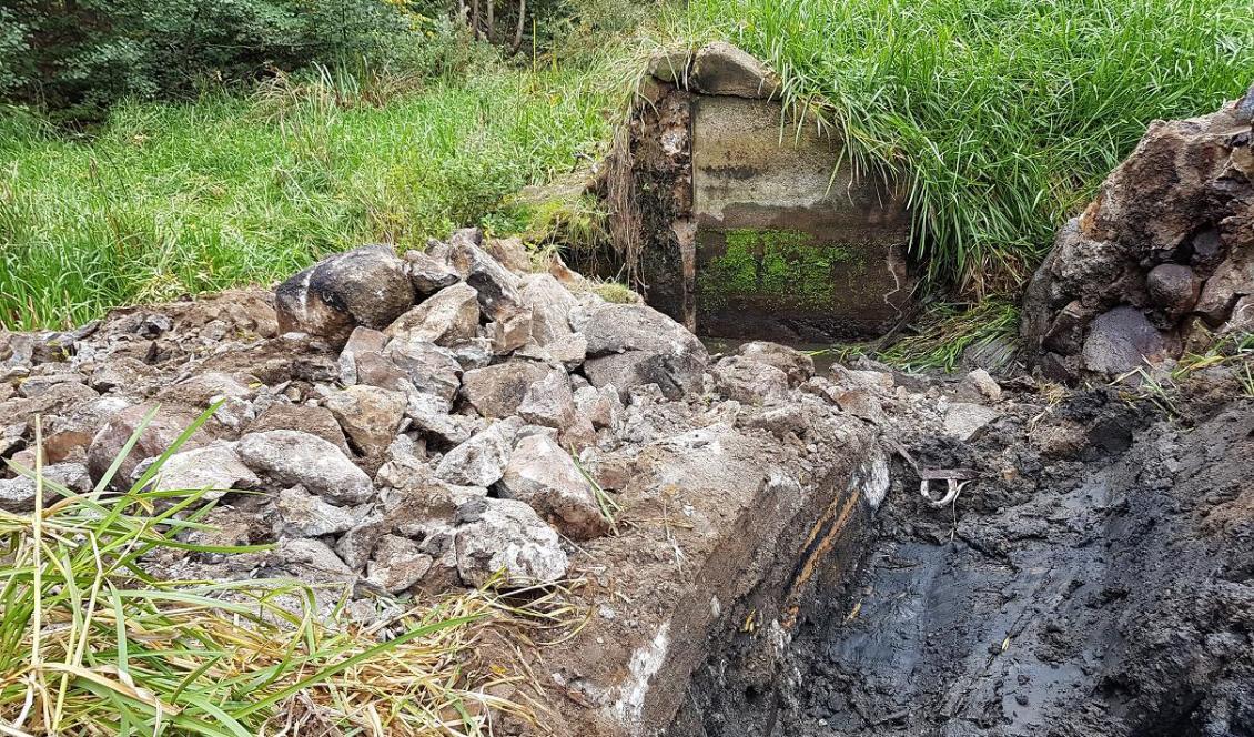 Arkeologisk utgrävning i Östra Tommarp i Skåne. Foto: Arkeologerna