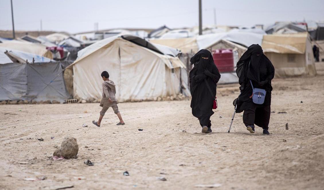 Runt 60 000 flyktingar, däribland familjer och IS-anhängare, bor i lägret al-Hol i norra Syrien. Många av dem är utländska medborgare. Bild från 1 maj. Foto: Baderkhan Ahmad/AP/TT