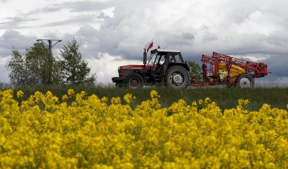 
En traktor vid gränsen mellan Tjeckien och Polen. Efter många års förhandlingar är en kompromiss nådd om nästa reform av EU:s jordbrukspolitik. Arkivbild. Foto: Petr David Josek/AP/TT                                            