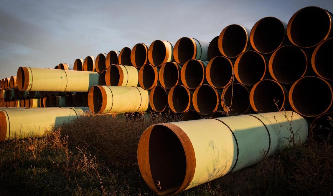 Rör till oljeledningen Keystone XL den 14 oktober 2014 utanför Gascoyne i North Dakota. Foto: Andrew Burton/Getty Images