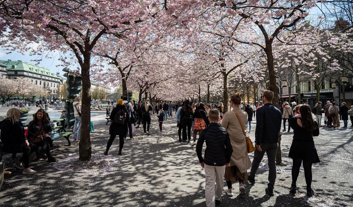 Vem vill inte kunna se det vackra i livet? Foto: Sofia Drevemo