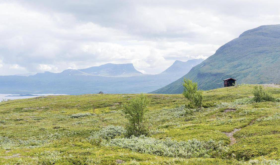 En klass 1-varning har utfärdats i de norra Lapplandsfjällen. Arkivbild. Foto: Henrik Holmberg / TT