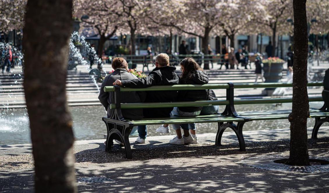 Alla familjer skapar, medvetet eller omedvetet, sin speciella familjekultur. Vilken kultur och vilka ideal är viktiga i er familj? Foto: Sofia Drevemo