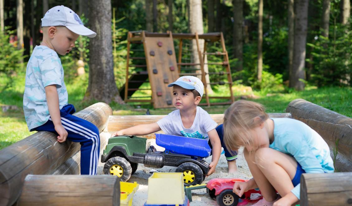 


Studien visade att barn som spenderar mycket tid utomhus har kortare ögonlängd, vilket minskar risken för närsynthet. Foto: Alexandr Podvalny/Unsplash


                                                                                                                                    