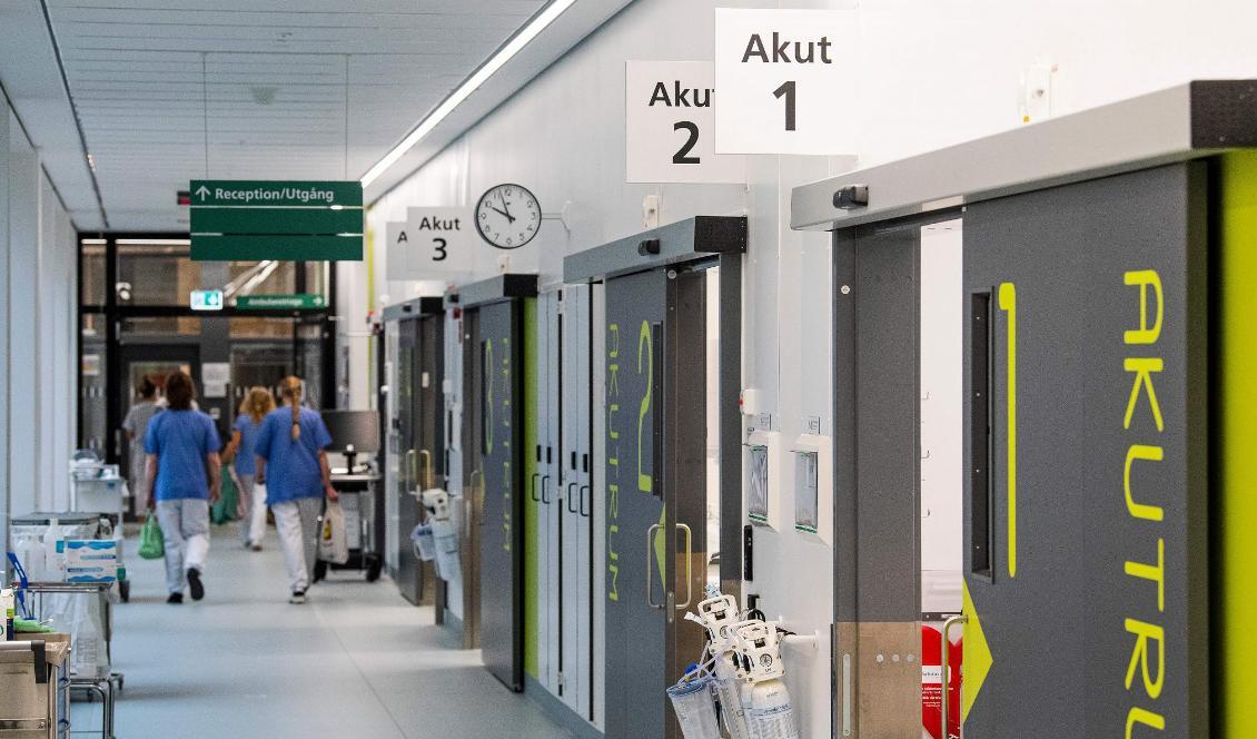 
Intensivvårdsavdeldningen på Danderyds sjukhus. Foto: Jonathan Nackstrand/AFP via Getty Images                                            