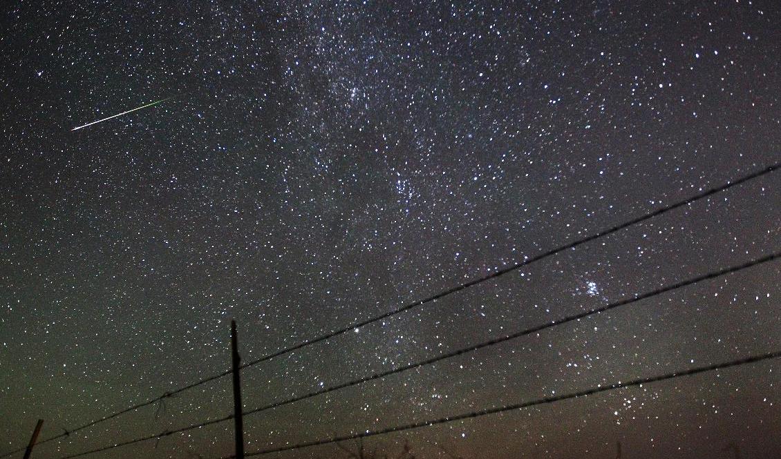 Meteorregnet Perseiderna inträffar en gång per år, med start kring den 10 augusti. Foto: Blaine McCartney/AP/TT