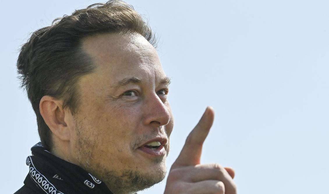 Teslas vd och grundare Elon Musk. Arkivbild. Foto: Patrick Pleul/AP/TT