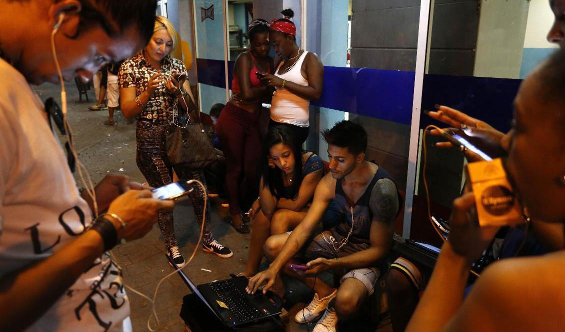 Kubaner kollar nätet vid en wifi-hotspot i centrala Havanna. Arkivbild. Foto: Desmond Boylan/AP/TT