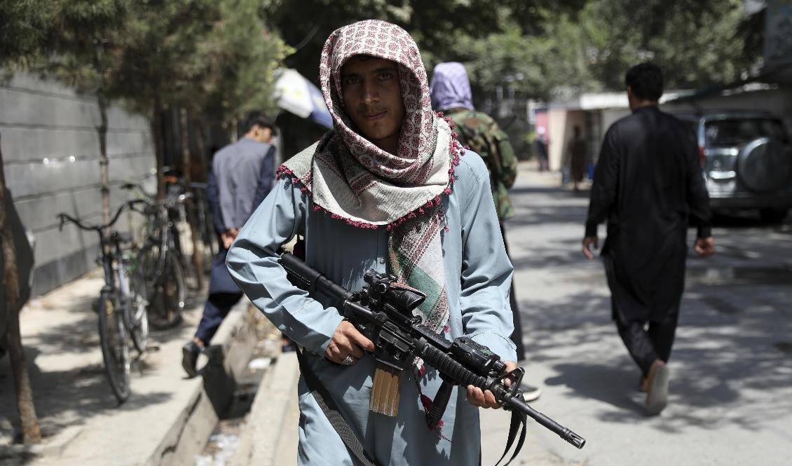 Taliban vid vägspärr i Kabul. Hundratals uppges vara på väg mot motståndsnästet Panjshirdalen. Foto: Rahmat Gul/AP/TT