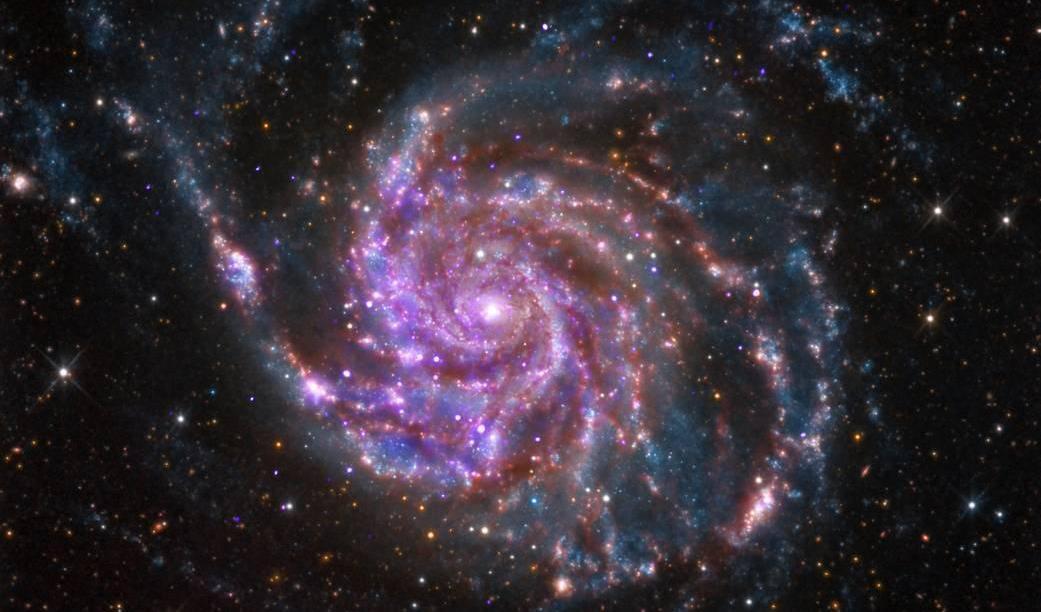 Med hjälp av kraftfulla datorsimuleringar har forskare vid Lund universitet lyckats kartlägga hur en spiralgalax, som vår egen Vintergatan, bildades. På bilden spiralgalaxen M101. Foto: Nasa/TT