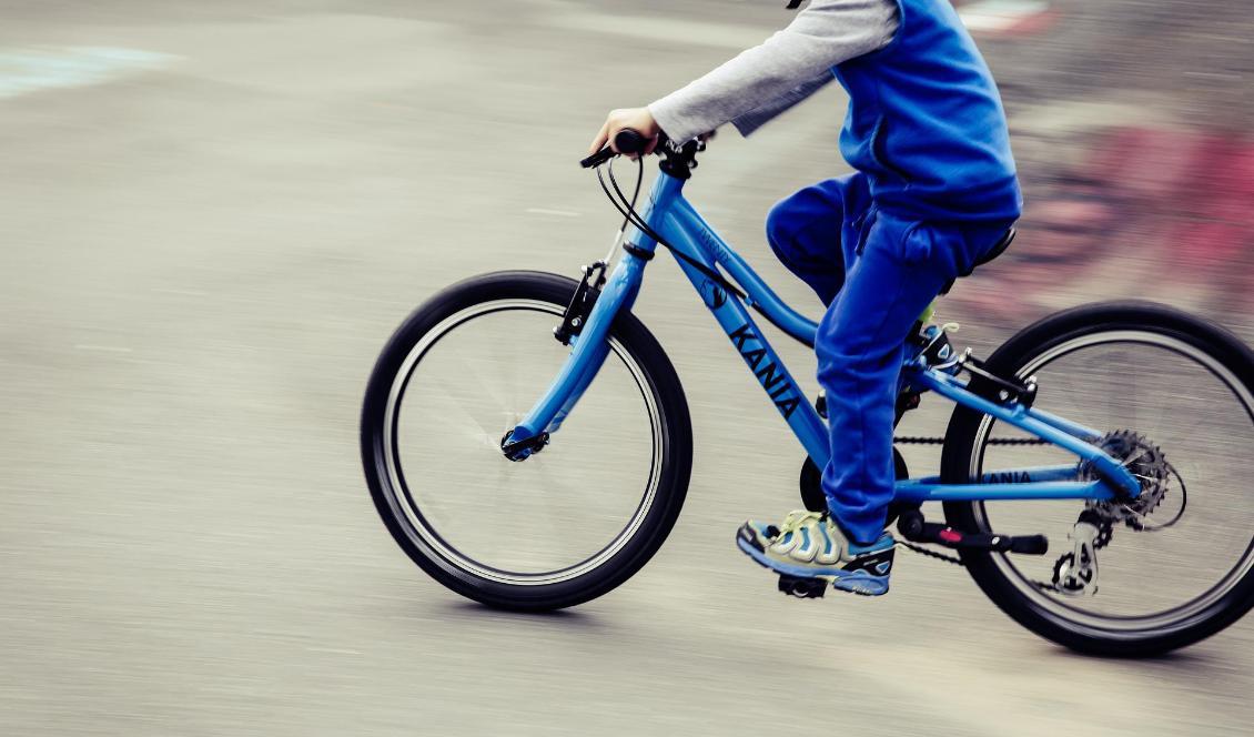 
Inför skolstarten är det många barn som ska ut i trafiken. Foto: Försäkringsbolaget If                                            