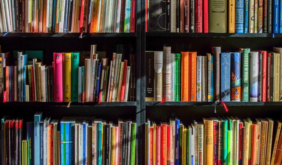 

Intresset för böcker i både tryckt och digital form har ökat under pandemin. Foto: Lubos Houska/Pixabay                                                                                        