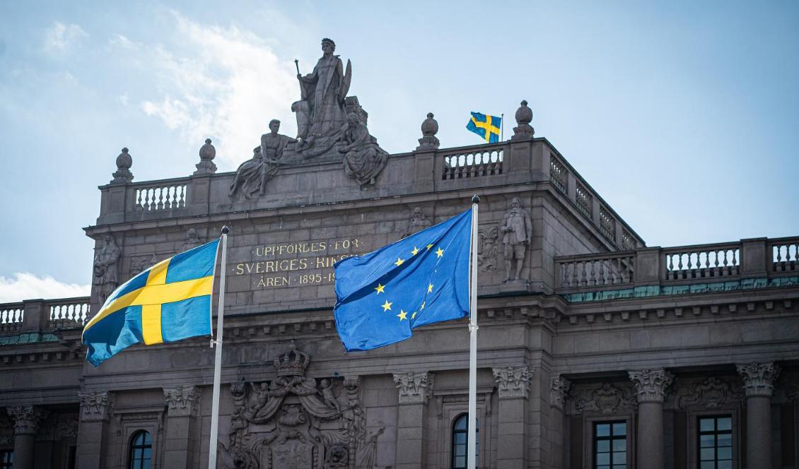 Både partistöden och spärren på fyra procent till riksdagen är en avart som urvattnar demokratin, menar debattören. Foto: Sofia Drevemo
