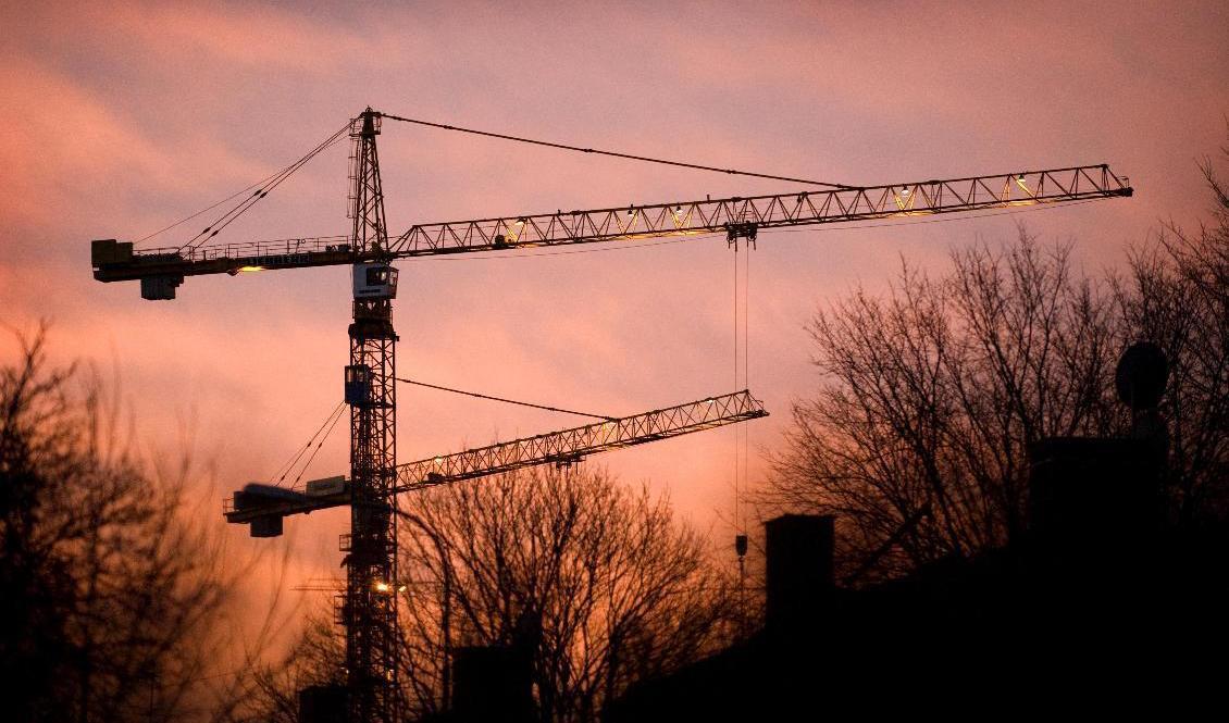 
Bostadsområden och industrier byggs på bördiga jordbruksmarker – inte minst i Skåne. Arkivbild. Foto: Claudio Bresciani/TT                                            
