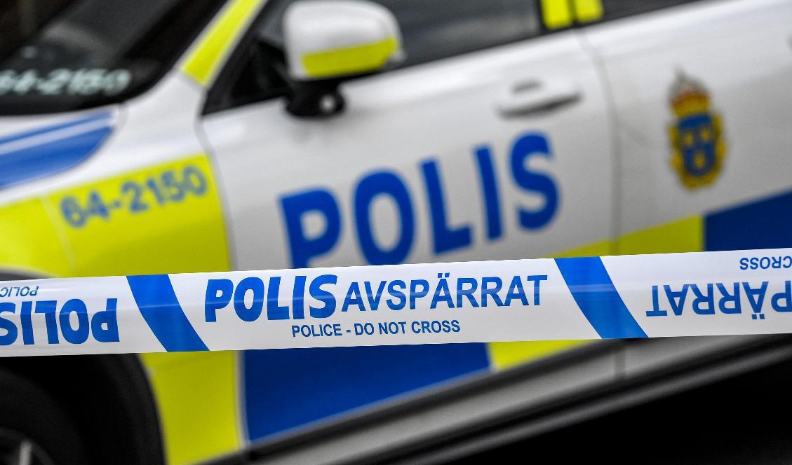 Fyra nya anmälningar inom loppet av 24 timmar – bulldåden mot Malmös hundar ser ut att eskalera. Arkivbild. Foto: Johan Nilsson/TT