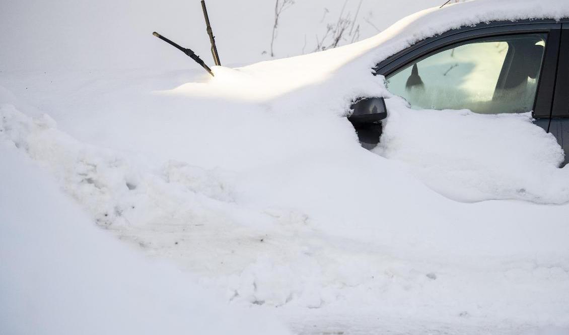 Norra Norrland väntas få mycket snö i helgen. Arkivbild. Foto: Erik Mårtensson/TT