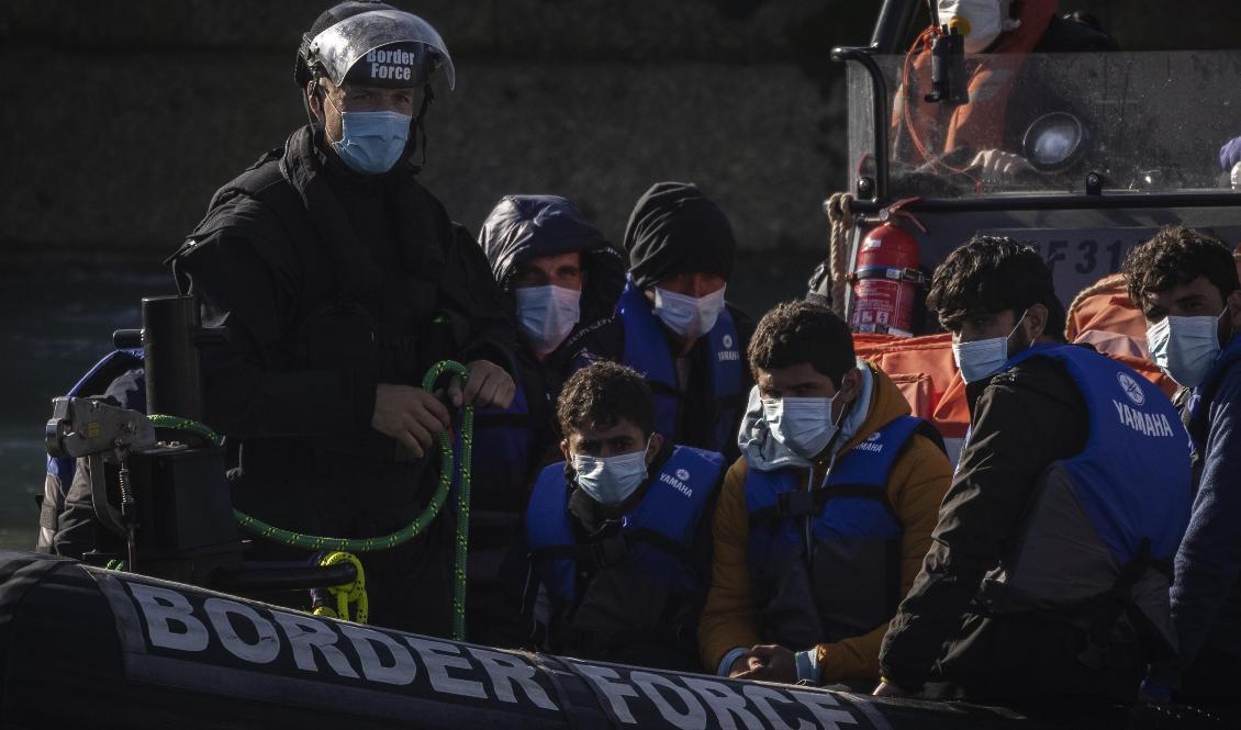 

Migranter förs till hamnen i Dover i England av Kustbevakningen den 9 september 2021.  Foto: Dan Kitwood/Getty Images                                                                                        