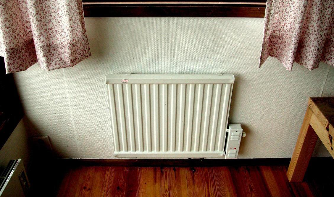
Eluppvärmda fritidshus är vanligt, men det finns enligt Energimyndigheten också 150|000 villor i landet som värms upp med direktverkande el. Arkivbild. Foto: Hasse Holmberg/TT                                            