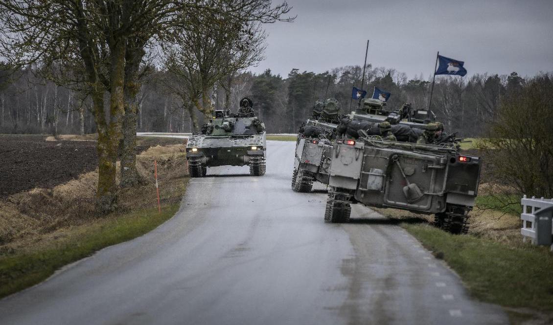 Militärfordon från Gotlands regemente, P18, under patrull på norra delarna av ön. Foto: Karl Melander/TT