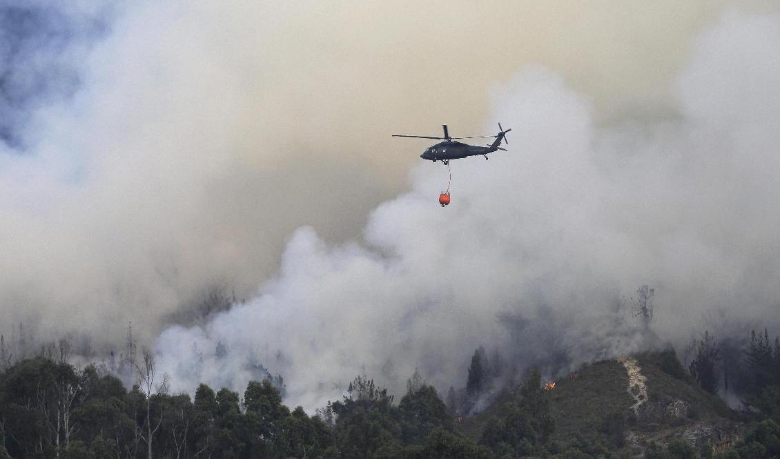 En helikopter vattenbombar en skogsbrand i Colombia. Arkivbild. Foto: Fernando Vergara/AP/TT