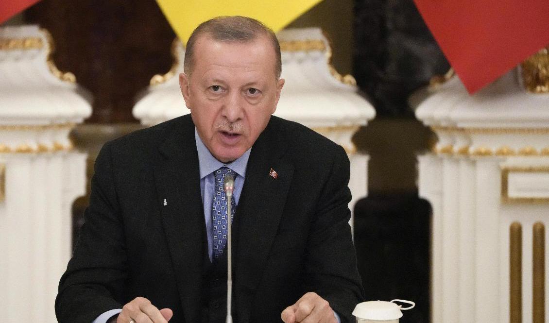 Turkiets president Recep Tayyip Erdogan. Arkivbild. Foto: Efrem Lukatsky/AP/TT