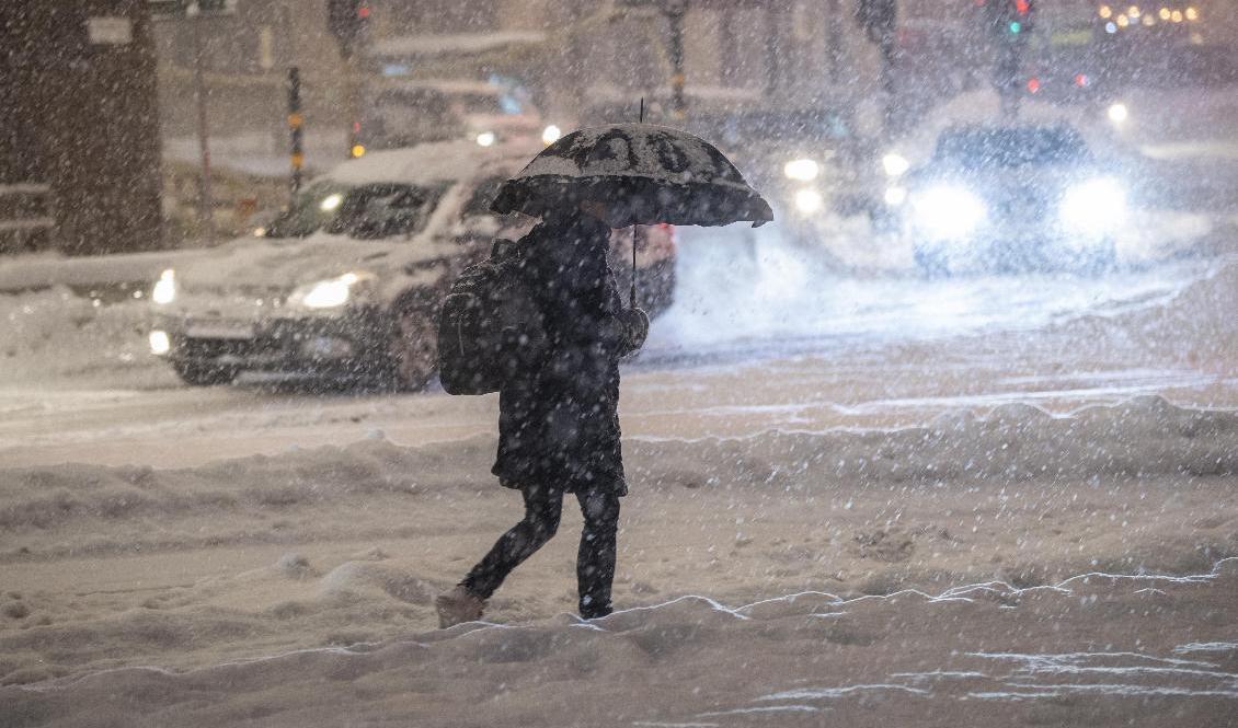 Snö och hårda vindar väntas i delar av landet på måndag. Foto: Fredrik Sandberg/TT