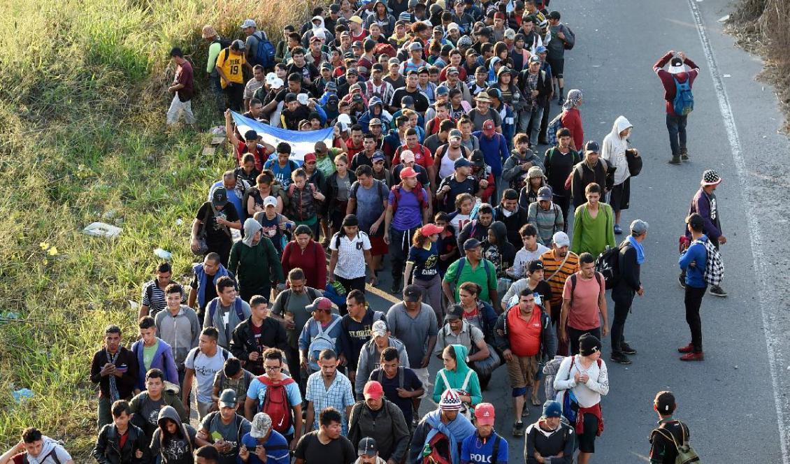 

Centralamerikanska migranter på väg mot gränsen mellan USA och Mexiko, den 23 januari 2020. Foto: Alfredo Estrella/AFP via Getty Images                                                                                        