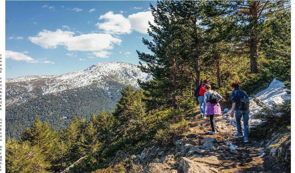 
Låt dina sinnen ta in den skönhet som naturen slösar på dig. Foto: Shutterstock                                            