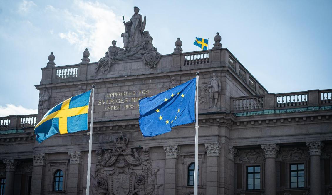 Riksdagsledamöterna får högre lön. Foto: Sofia Drevemo