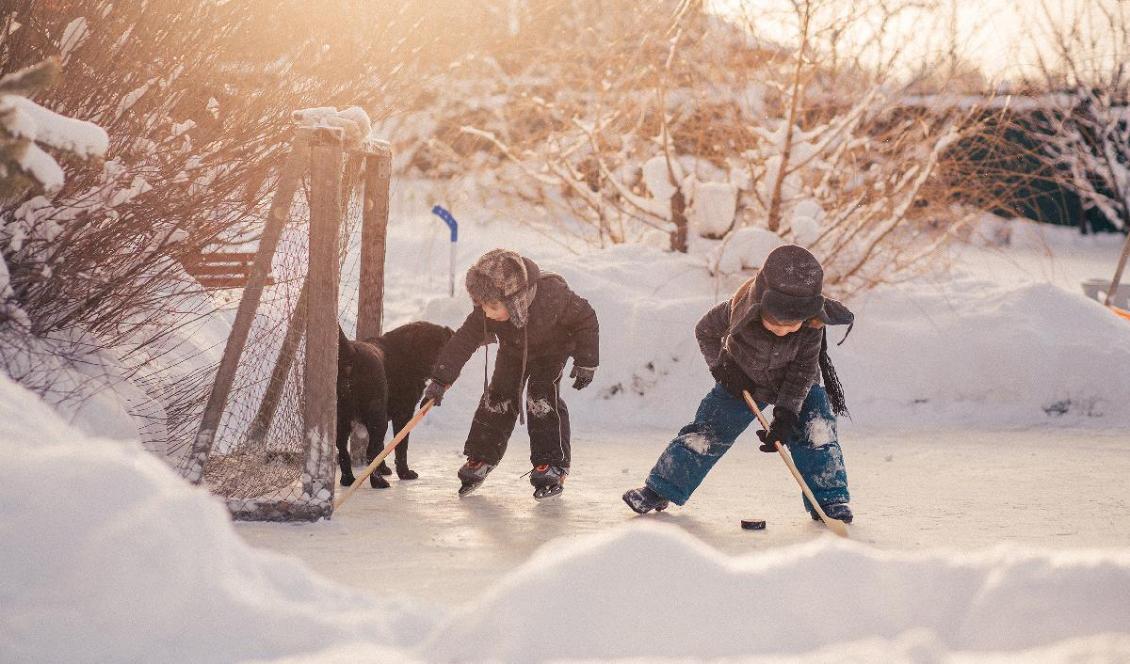 


En frihet baserad på ömsesidighet kan symboliseras av fri lek med en boll eller gummitrissa – att okonstlat bara ha kul tillsammans. Foto: Shutterstock                                                                                                                                    