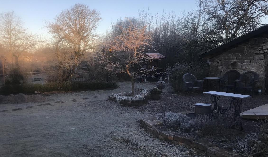 En trädgård kan vid första anblicken se oansenlig ut men tittar man närmare finns det alltid någon som planerat, planterat och vårdat den. Foto: Anton Nilsson