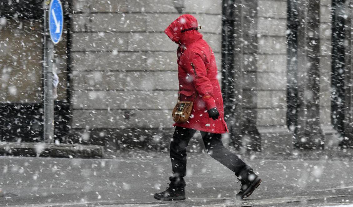 Vårvärmen ser ut att ersättas med kyla och snö under nästa vecka. Arkivbild. Foto: Johan Nilsson/TT